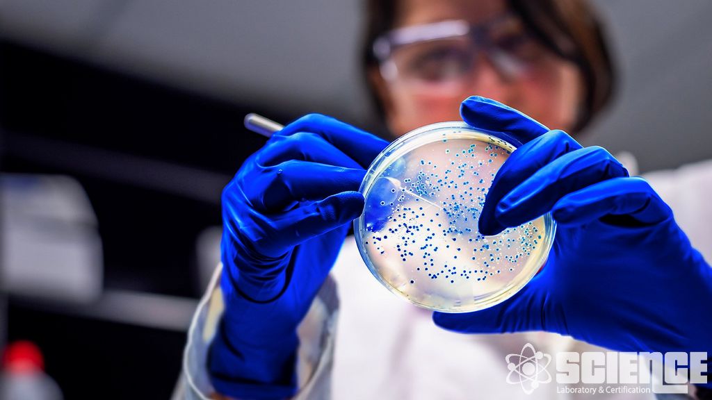 Farmasötik Stabilite Çalışmaları