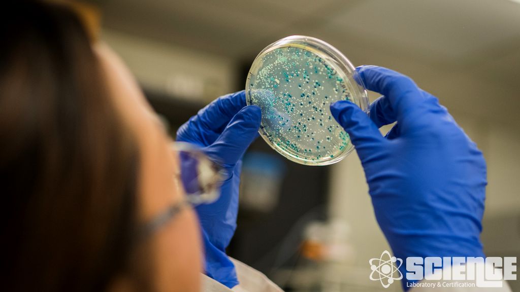 Farmasötik Ürün Geliştirme