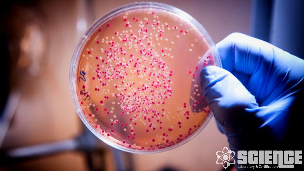 Farmasötiklerde Metal Testi