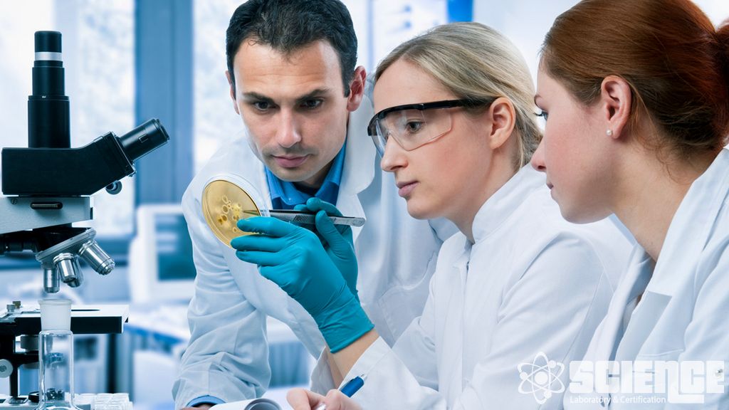 Farmasötiklerin ve Biyolojiklerin ICH Fotostabilite Testi