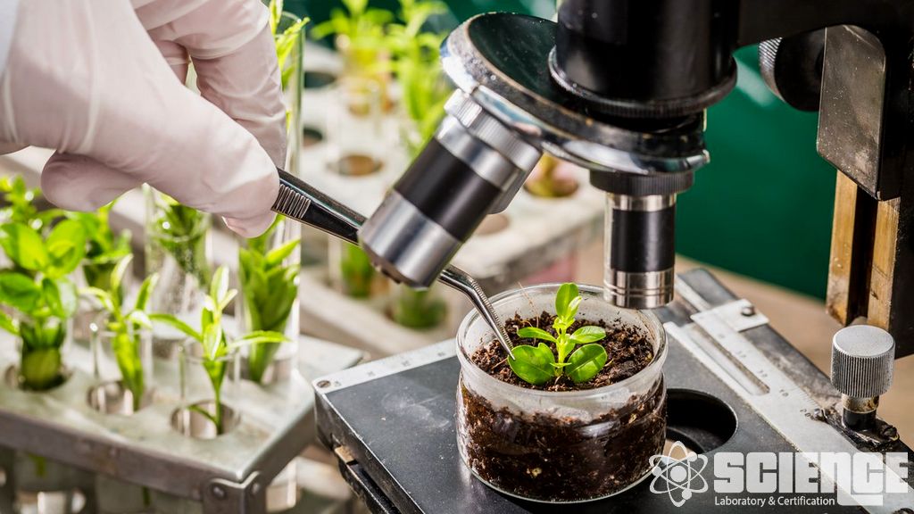 Fiziksel, Kimyasal ve Analitik Hizmetler