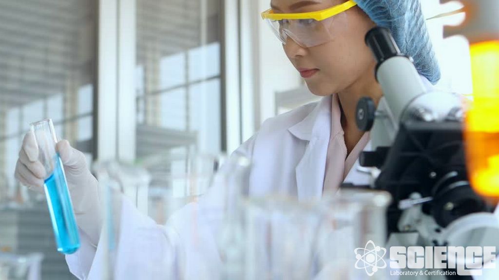 GDO'lu Besleme Çalışmaları