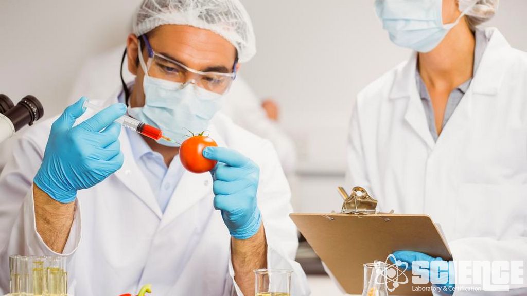 GDO'suz Testler ve GDO'suz Sertifikasyon