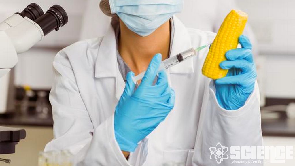 GDO'suz ve GE'siz Testleri