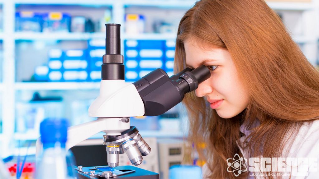 GDO Test Laboratuvarları - GDO Gıda Testleri