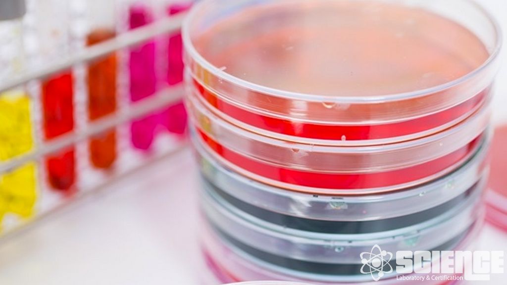 Genişletilmiş AB Alerjen Listesi için Kozmetik Koku Alerjen Taraması ve Testi