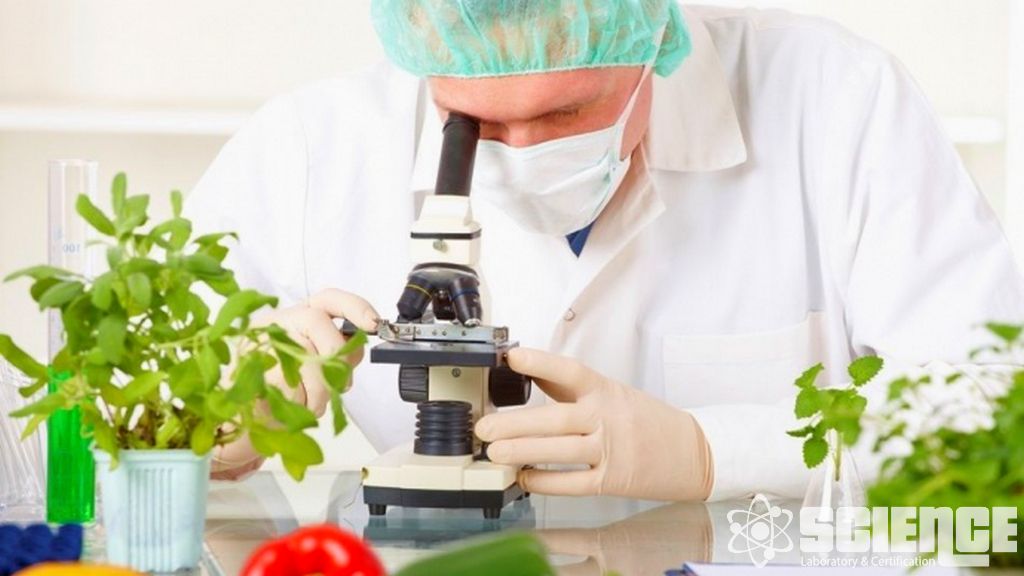 Gıda Ambalaj Ürünleri Testleri