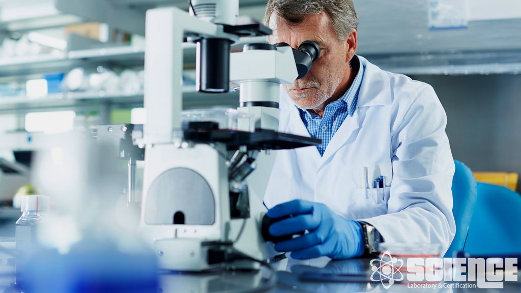 Gıda Denetimi ve Belgelendirme