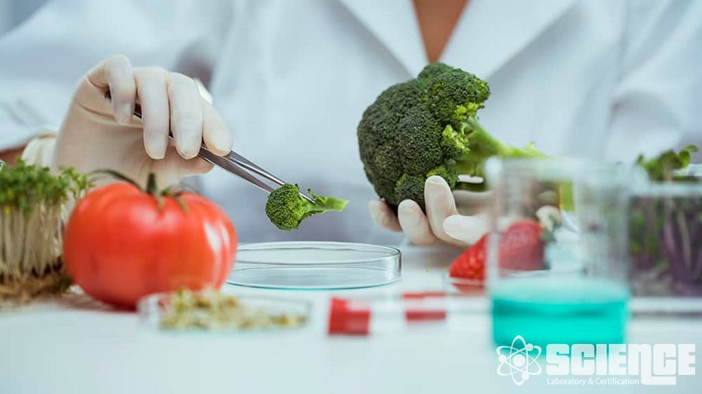 Gıda Güvenliği ve Uygunluğu Testi