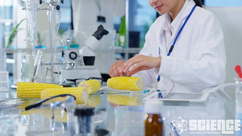 Gıda ile Temas Bildirimleri ve AB Gıda ile Temas Kuralları