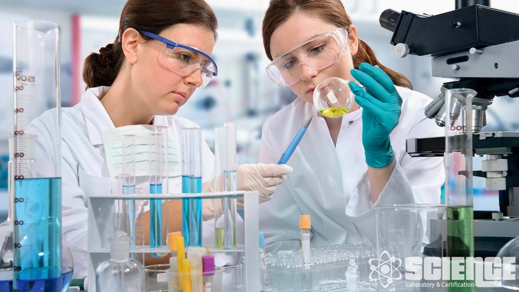 Gıda ile Temas Düzenleyici Destek Gıda Paketleme Yönetmelikleri