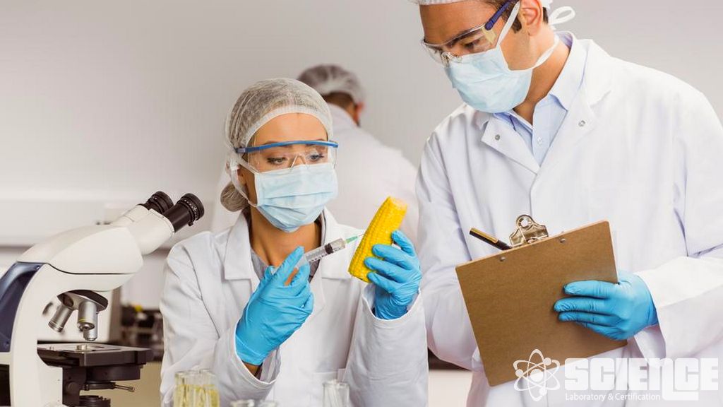 Gıda ile Temas Eden Malzemelerde Kimyasal Testler