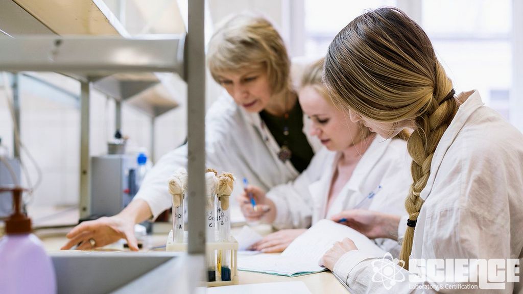 Gıda ile Temaz Eden Malzemeler için Yüzey Kaplamaları Testi