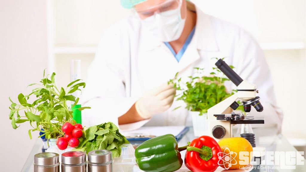 Gıda Işınlama Testi