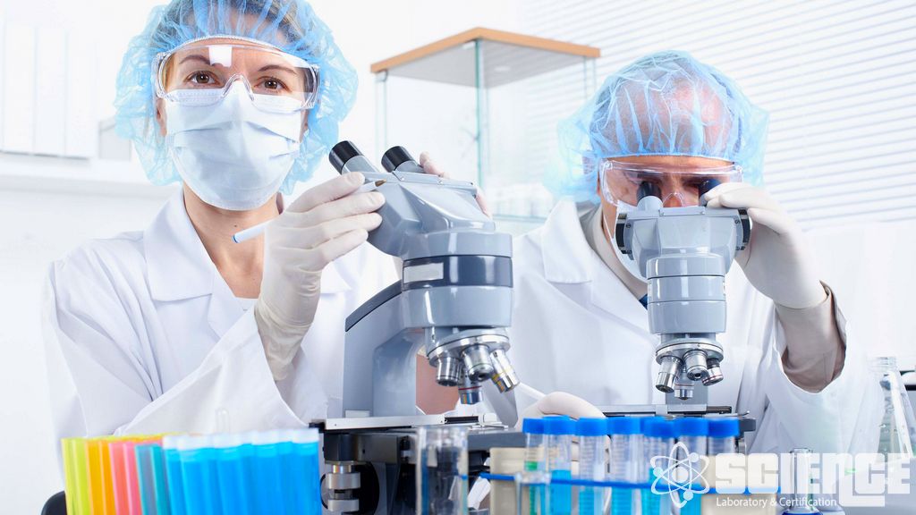 Gıda Kalite Kontrol Hizmetleri Gıda Kalite Kontrolü