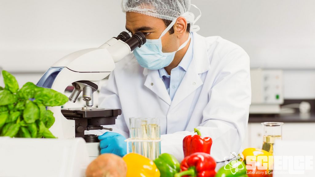 Gıda Kirliliği Test Hizmetleri