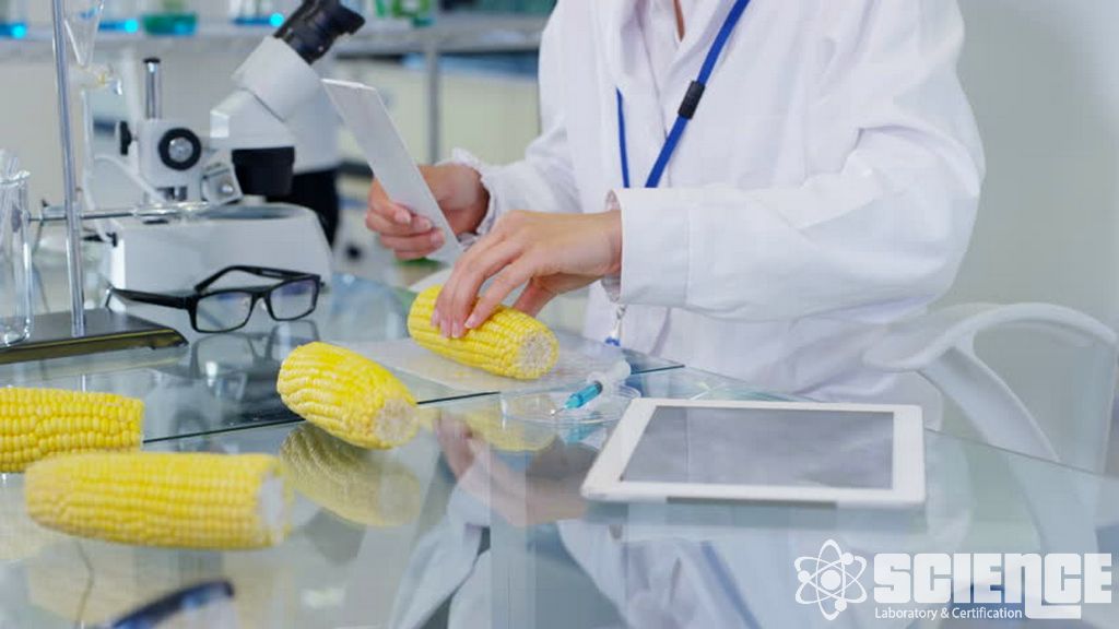 Gıda ve Yemin Yakın Analizi