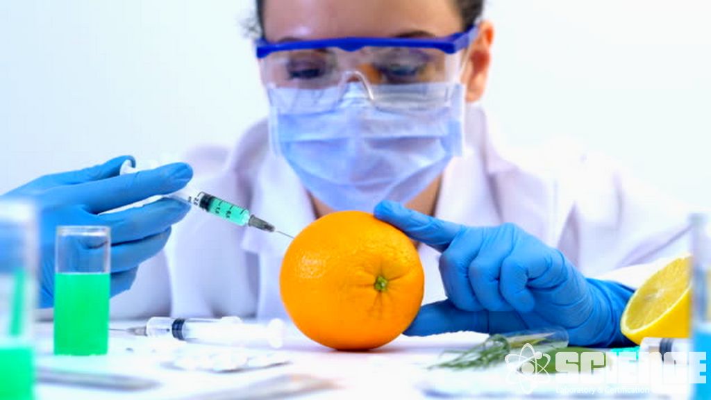 Gıda, Yem ve Tohum için GDO Test Hizmetleri