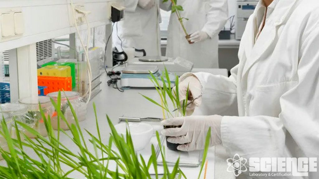 GLP Kalıntı Çalışmaları