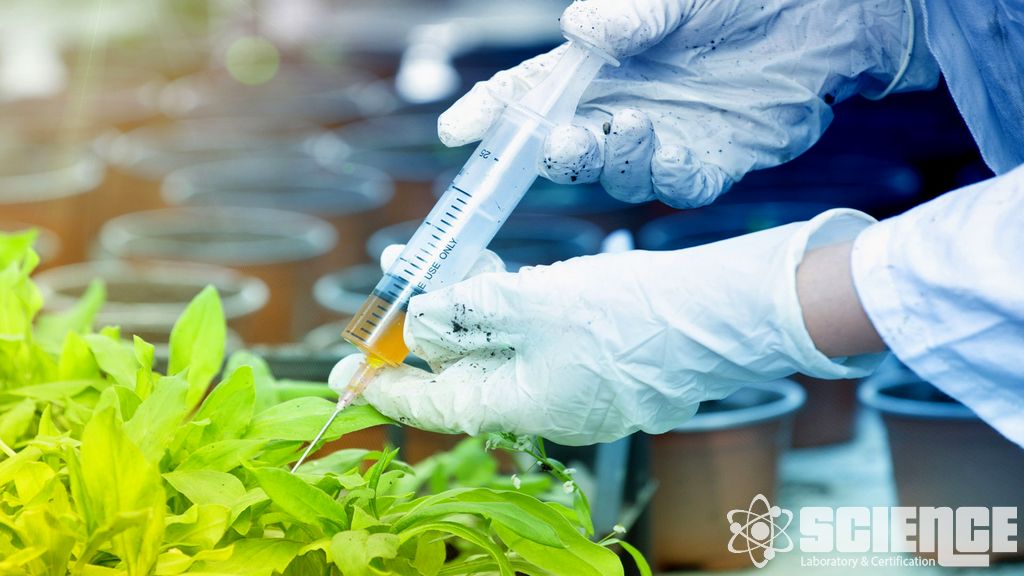 GLP Toprak, Tortu ve Su Analizi