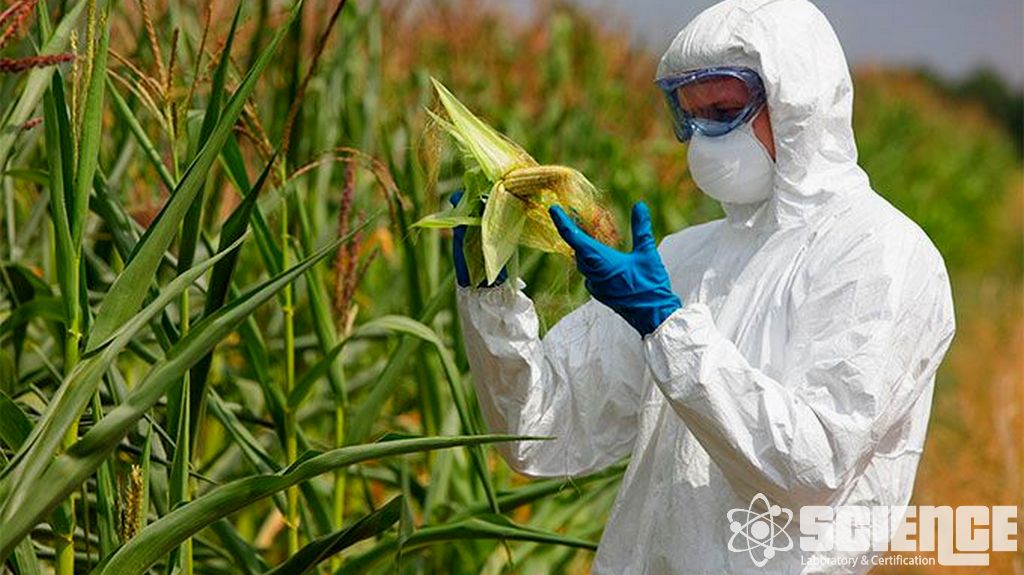 GM Tarımsal Eşdeğerlik Çalışmaları