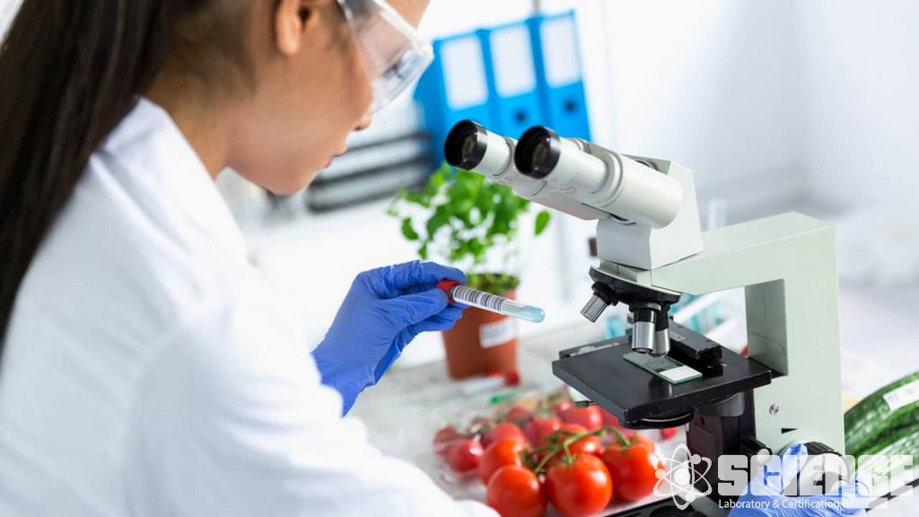 Göç Testi Gıda Temas Analizi