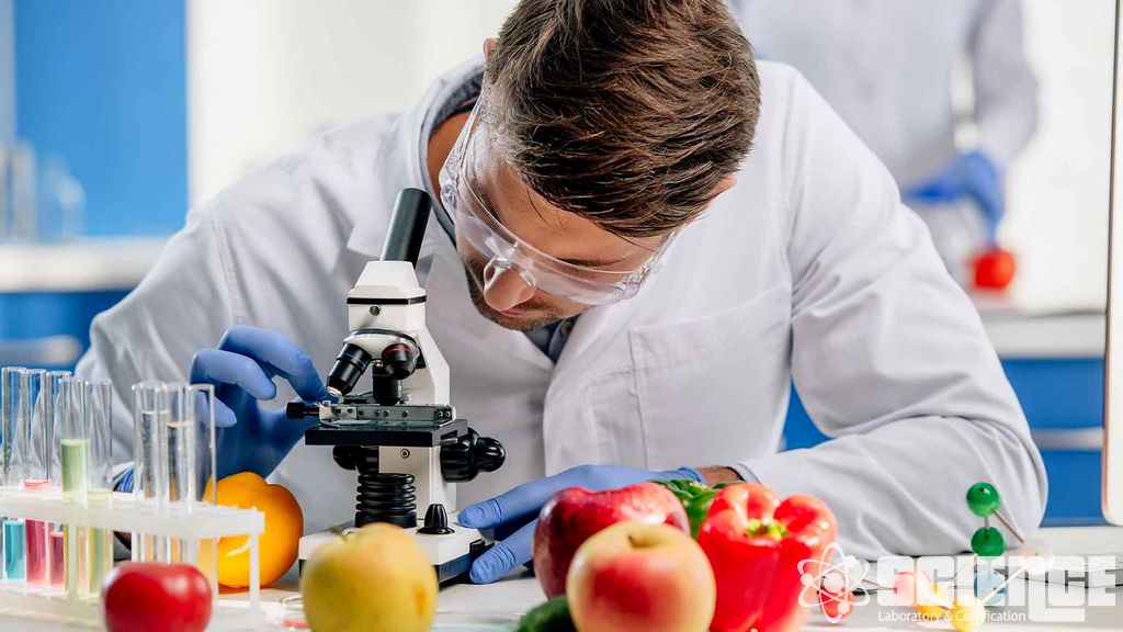 Havayolu İkram Denetimleri