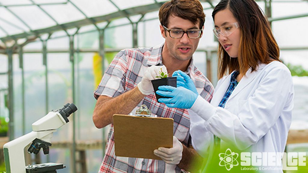 Hedef Olmayan Eklembacaklılar Alan Testleri