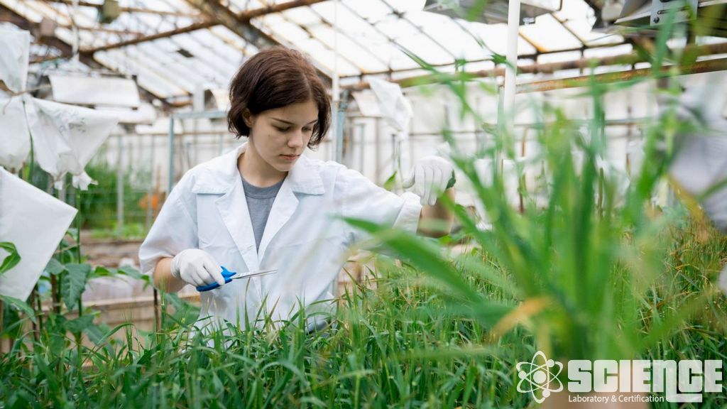 Hedef Olmayan Organizmalar Saha Çalışmaları