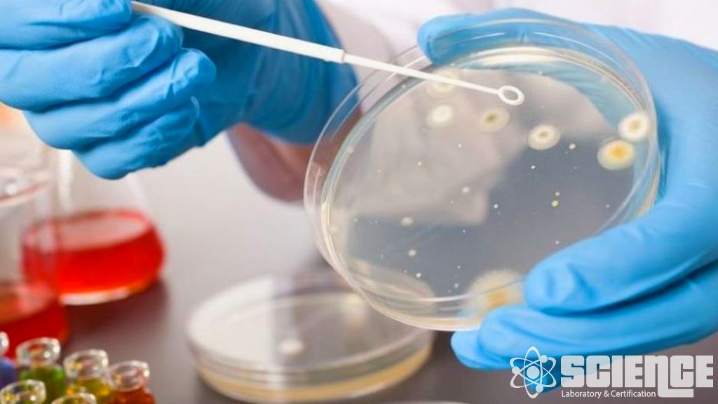 Hemouyumluluk Testleri