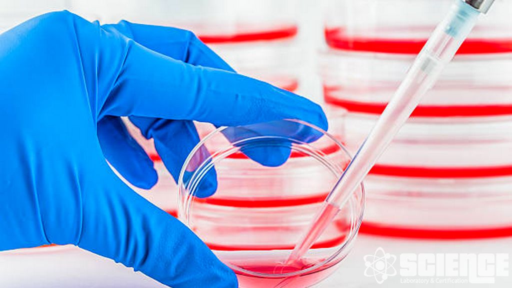 Hızlandırılmış Fiziksel Stabilite Testi