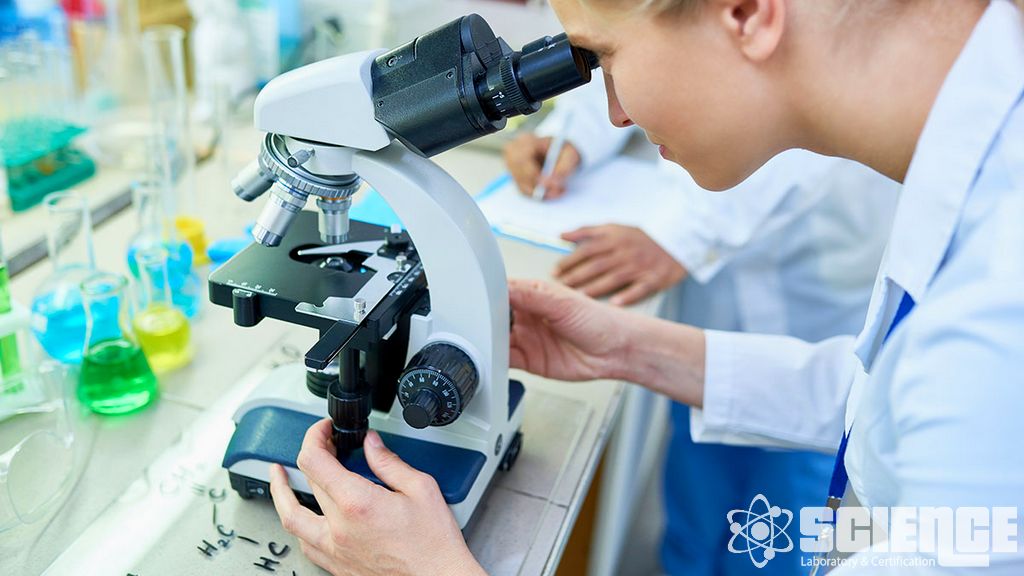 Hızlandırılmış ve Gerçek Zamanlı Yaşlanma