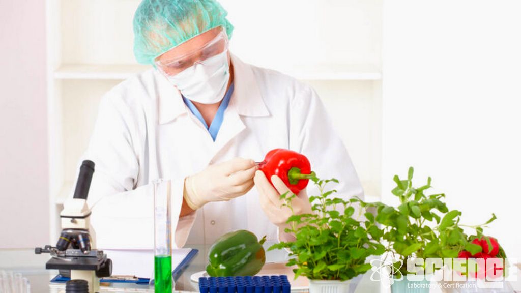 Hızlı Mikrobiyolojik Testler