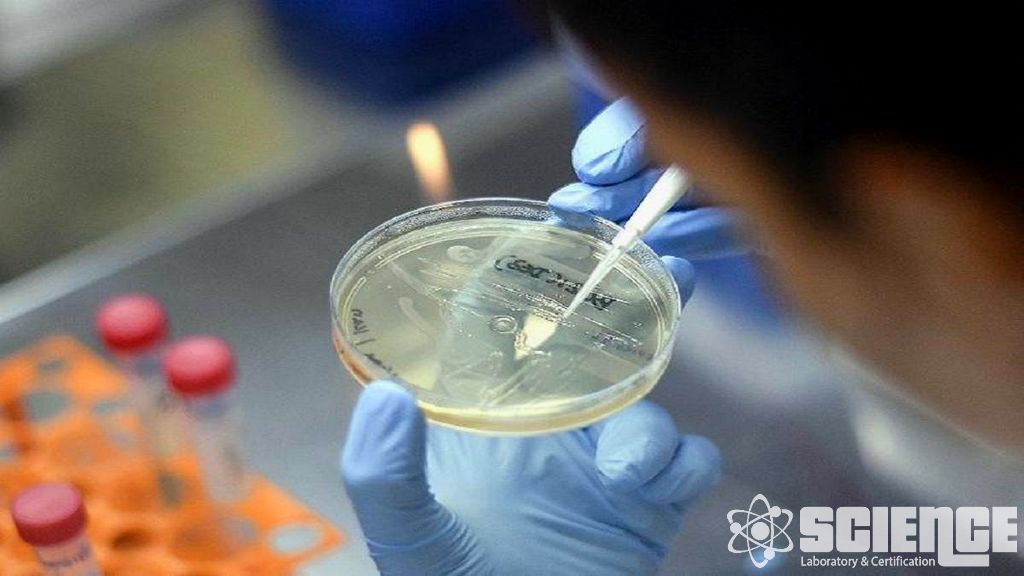 Hücre, Tohum Bankası ve Hasat Testleri