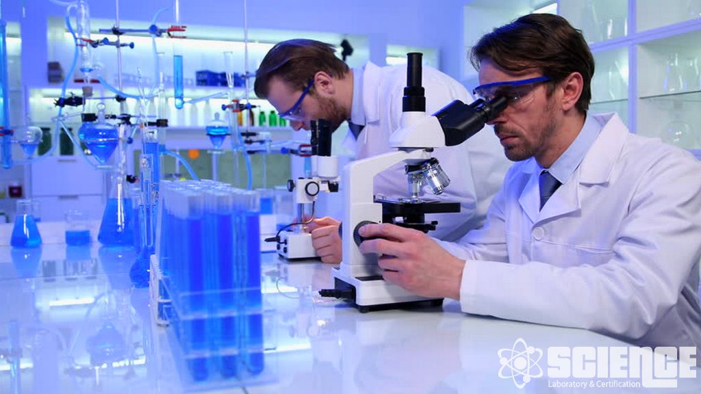 Hücre Kültürü ve Hücre Bazlı Biyoassay Hizmetleri