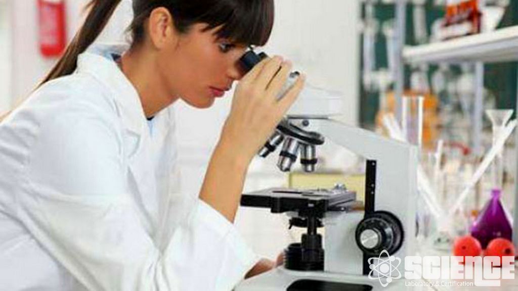 İçecek Endüstrisi Testi