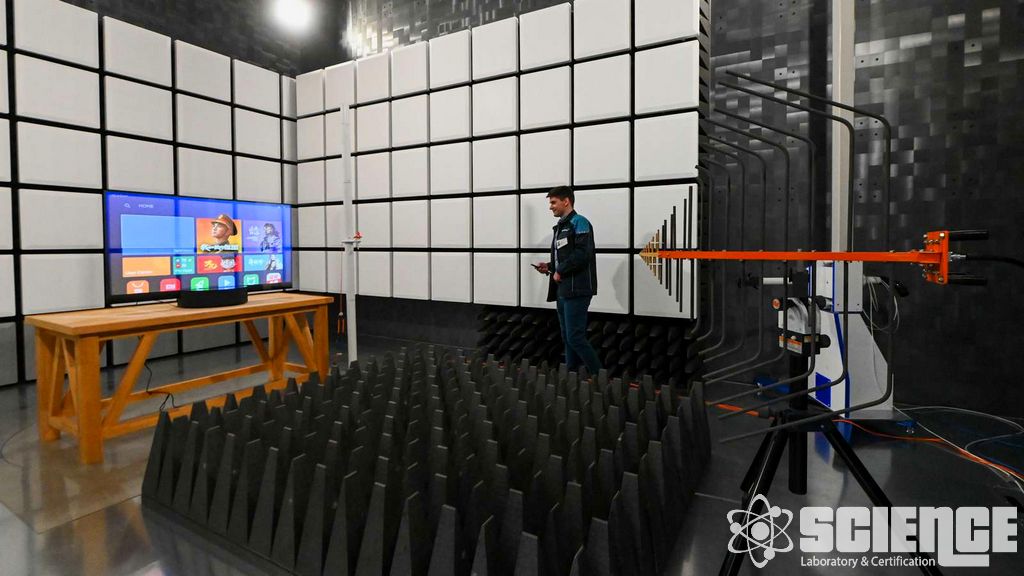 ICNIRP 2010 EMF-ye Maruz Kalma, 1 Hz – 100 kHz