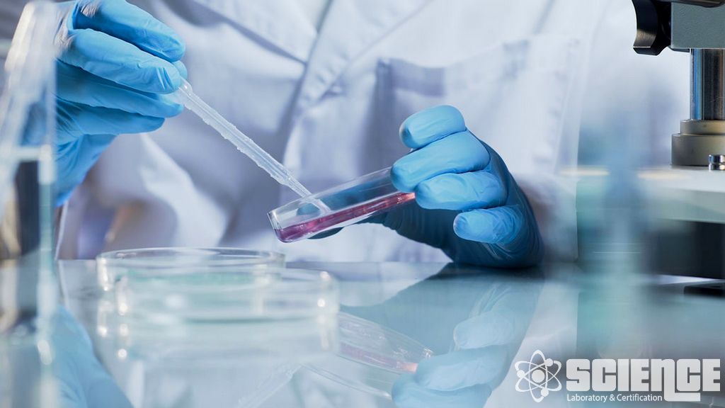 İlaç Çözünme Testi