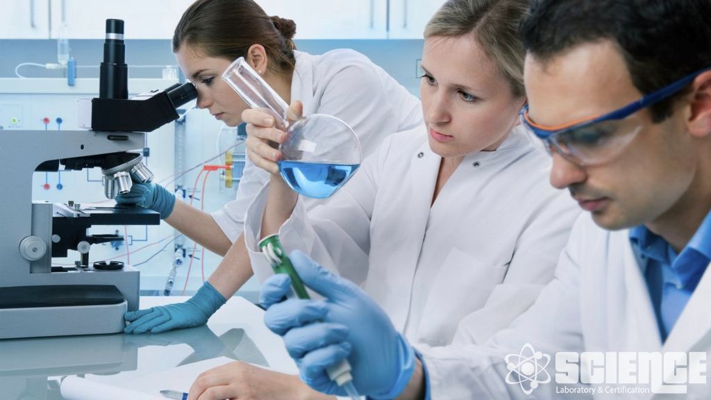 İlaç Güvenliği ve Farmakovijilans Testleri