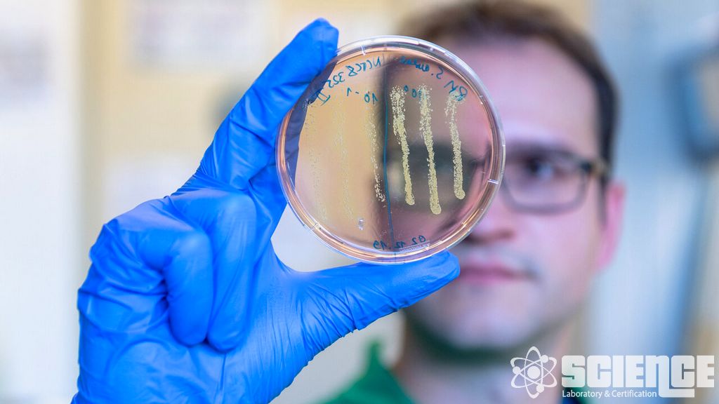 Islak Kimya Yetenekleri