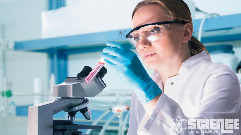 İşlenmemiş Toplu Test