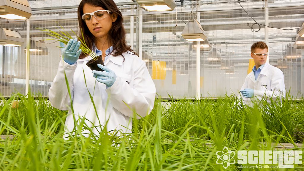 ISTA Kalite Belgelendirmesi (Uluslararası Tohum Test Derneği)