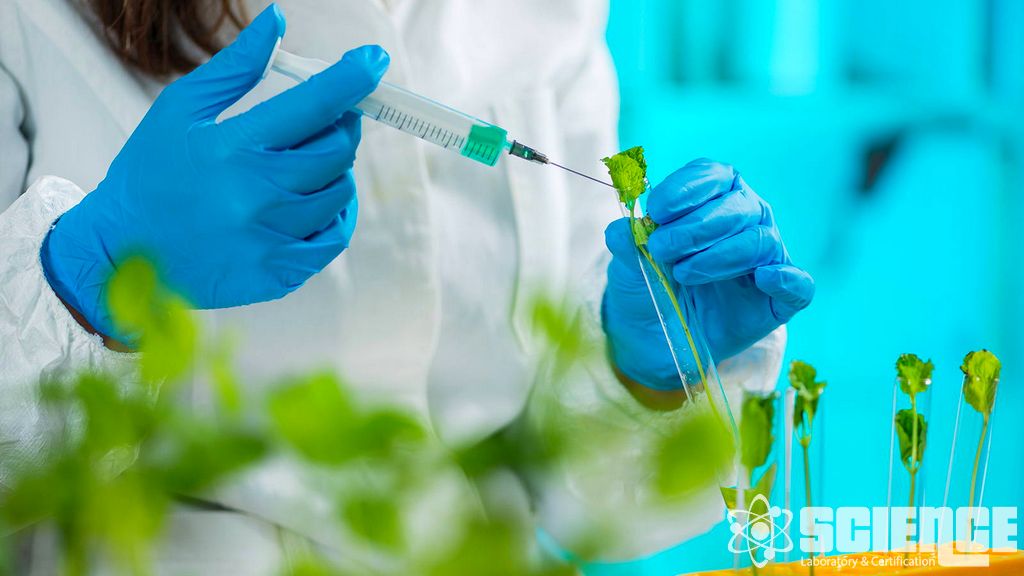 Karasal Bitki Koruma Laboratuvarı