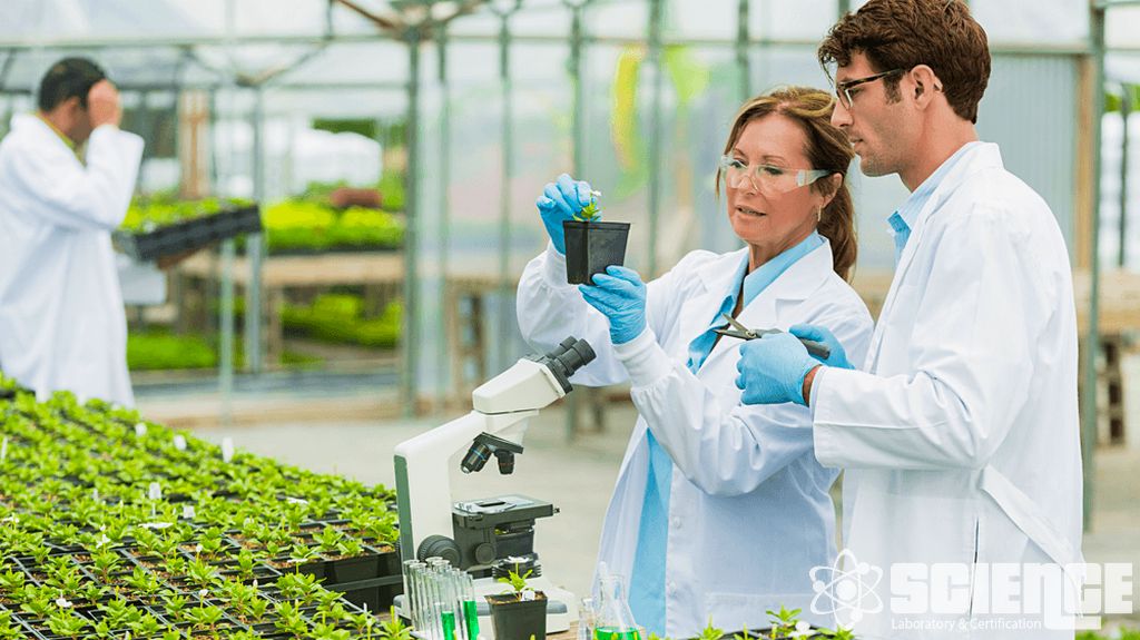 Karasal Bitki Testleri