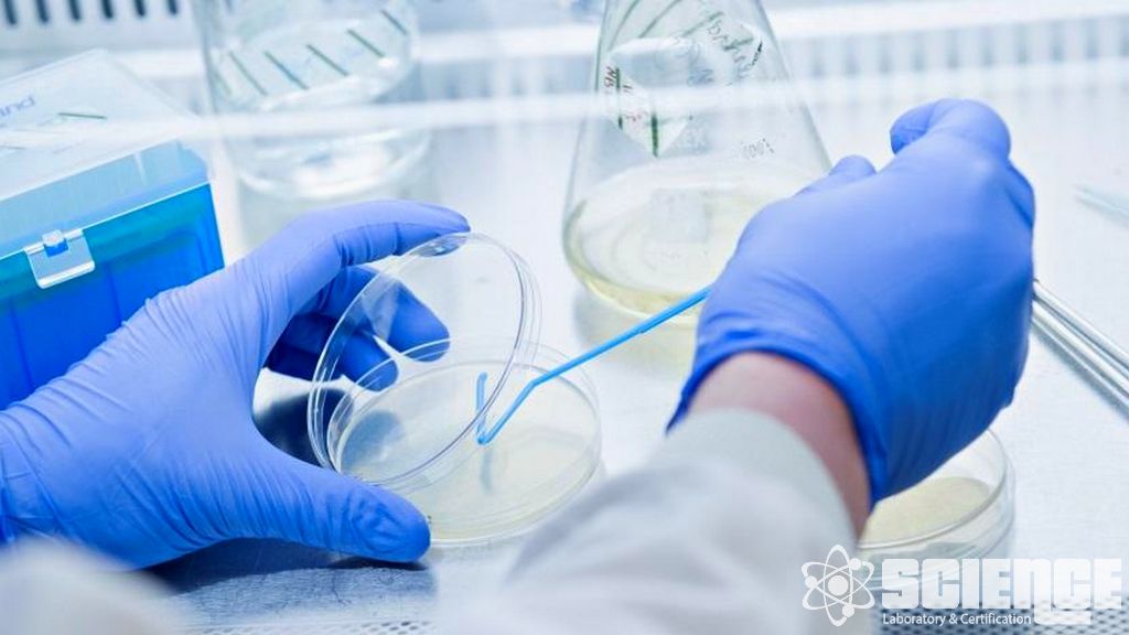 Karmaşık Dozaj Formları ve Yüksek Riskli İlaç Ürünleri için E-L Programları