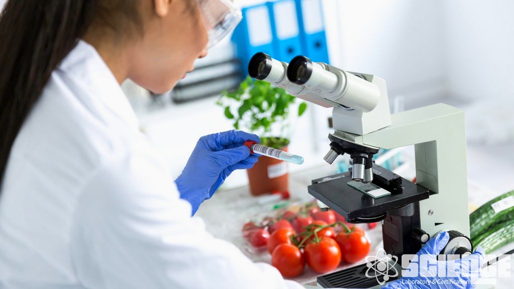 Katı ve Sıvı Yağ Testi