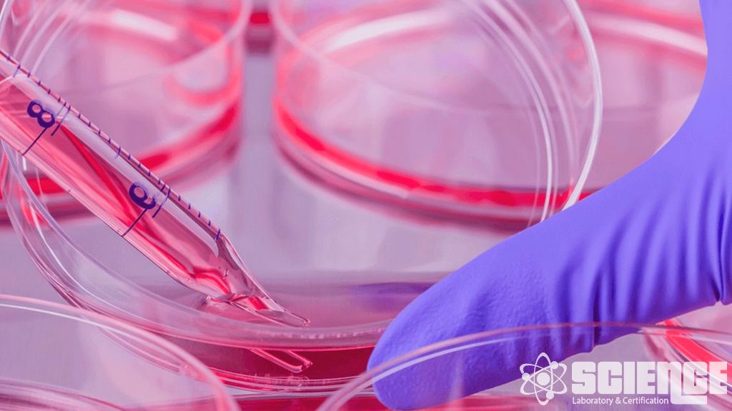 Kirlilik Tanımlama Test Hizmetleri