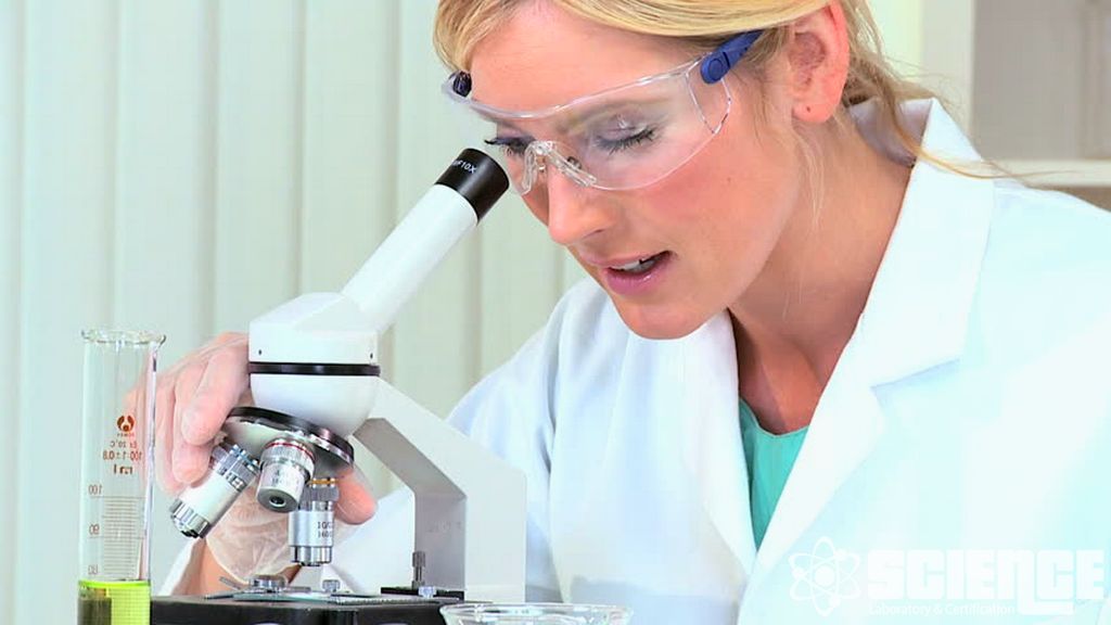 Klerans Testleri ve Toksisite Testi