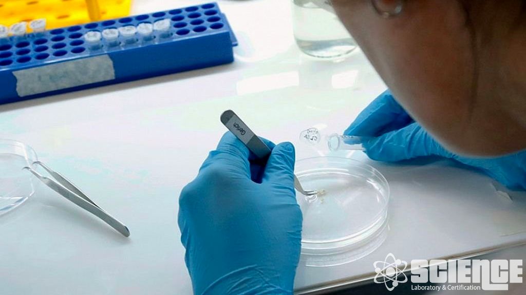 Klinik Farmakoloji Testleri