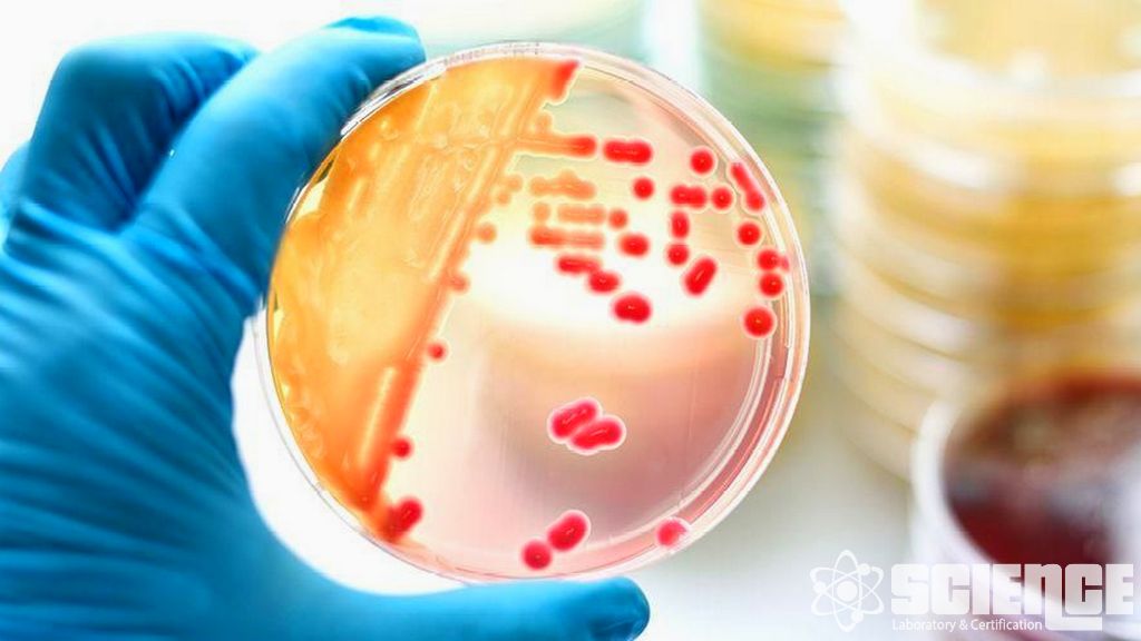 Klinik Öncesi İlaç Geliştirme Testleri